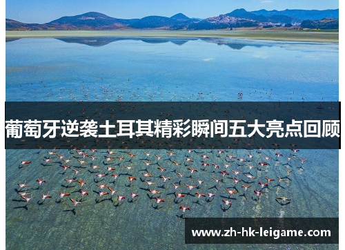 葡萄牙逆袭土耳其精彩瞬间五大亮点回顾 葡萄牙逆袭土耳其精彩瞬间五大亮点回顾